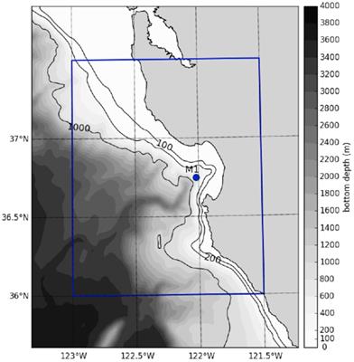 Modeling Environmental DNA Transport in the Coastal Ocean Using Lagrangian Particle Tracking